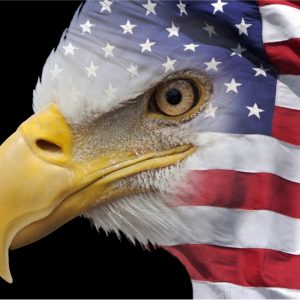 U.S. Flag Eagle - 3x5'
