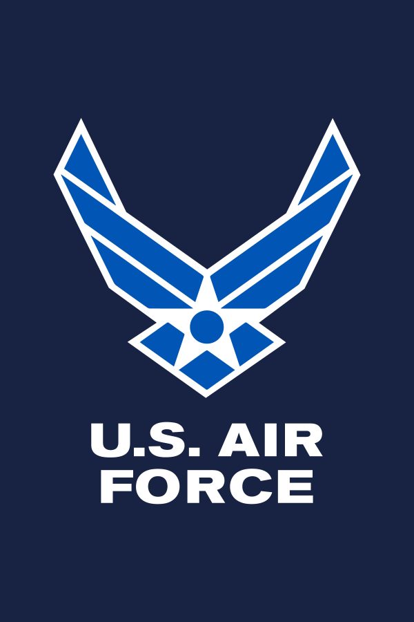 U.S. Air Force Wings - 18x12"