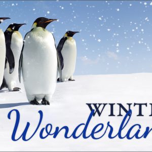 Winter Wonderland - 3x5'