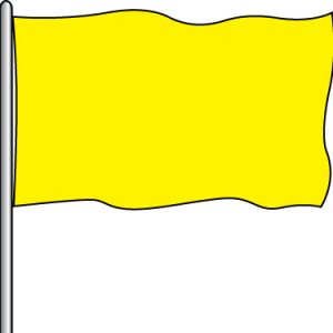 Solid Attraction Flag - F.M. Yellow 3x5'