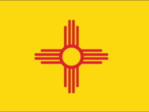 New Mexico - 5x8'